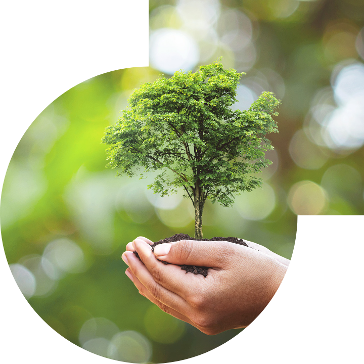 关怀人类、文化、环境与社会